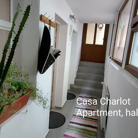 Apartment Casa Charlot Brasov