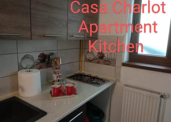 Casa Charlot Apartament Braszów